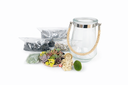 DIY Hanging Ganesha Succulent Terrarium Kit