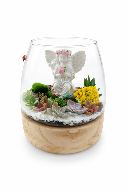 DIY Angel Succulent Terrarium Kit