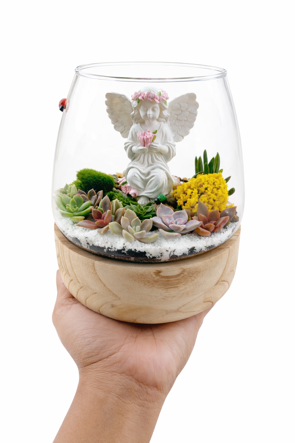 DIY Angel Succulent Terrarium Kit
