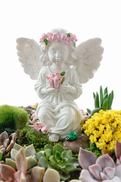 DIY Angel Succulent Terrarium Kit