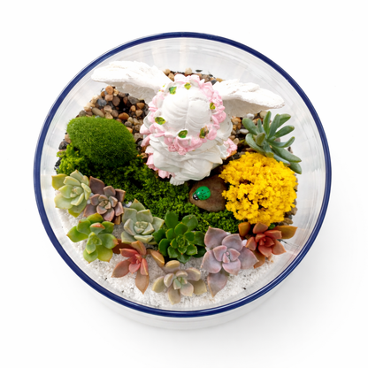 DIY Angel Succulent Terrarium Kit