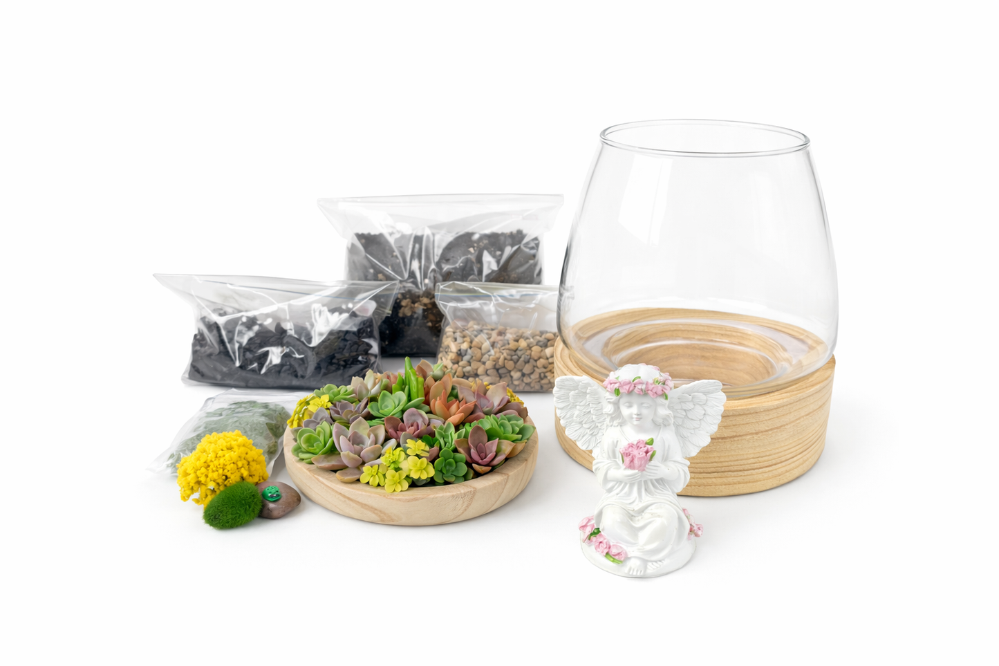 DIY Angel Succulent Terrarium Kit