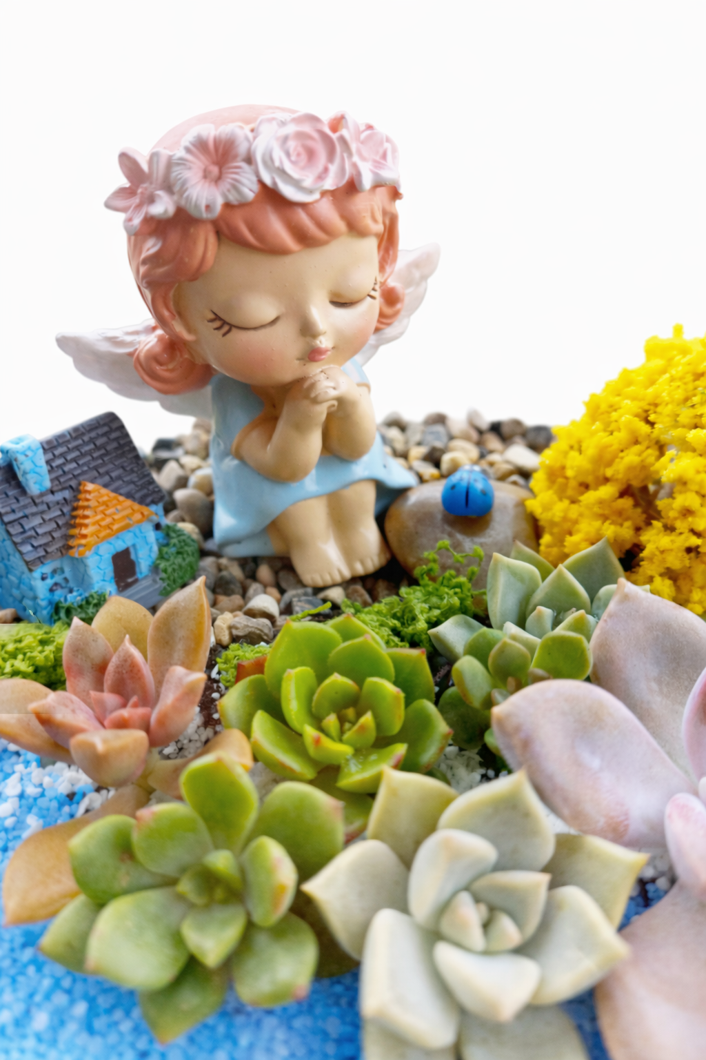 Angel Succulent Terrarium – DIY Mini Garden Kit