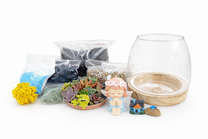 Angel Succulent Terrarium – DIY Mini Garden Kit