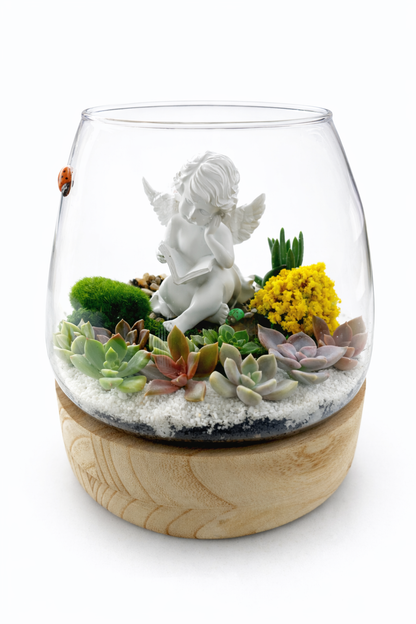 My Cherub Littile Garden – Succulent Terrarium DIY Kit