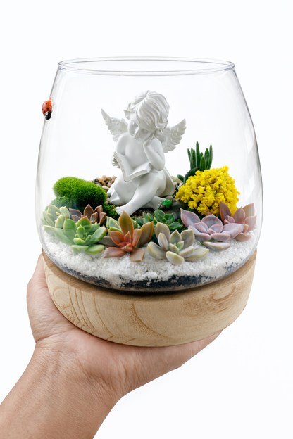 My Cherub Littile Garden – Succulent Terrarium DIY Kit