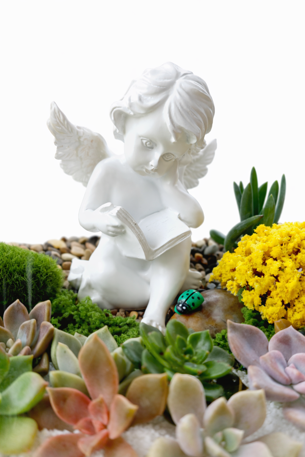 My Cherub Littile Garden – Succulent Terrarium DIY Kit