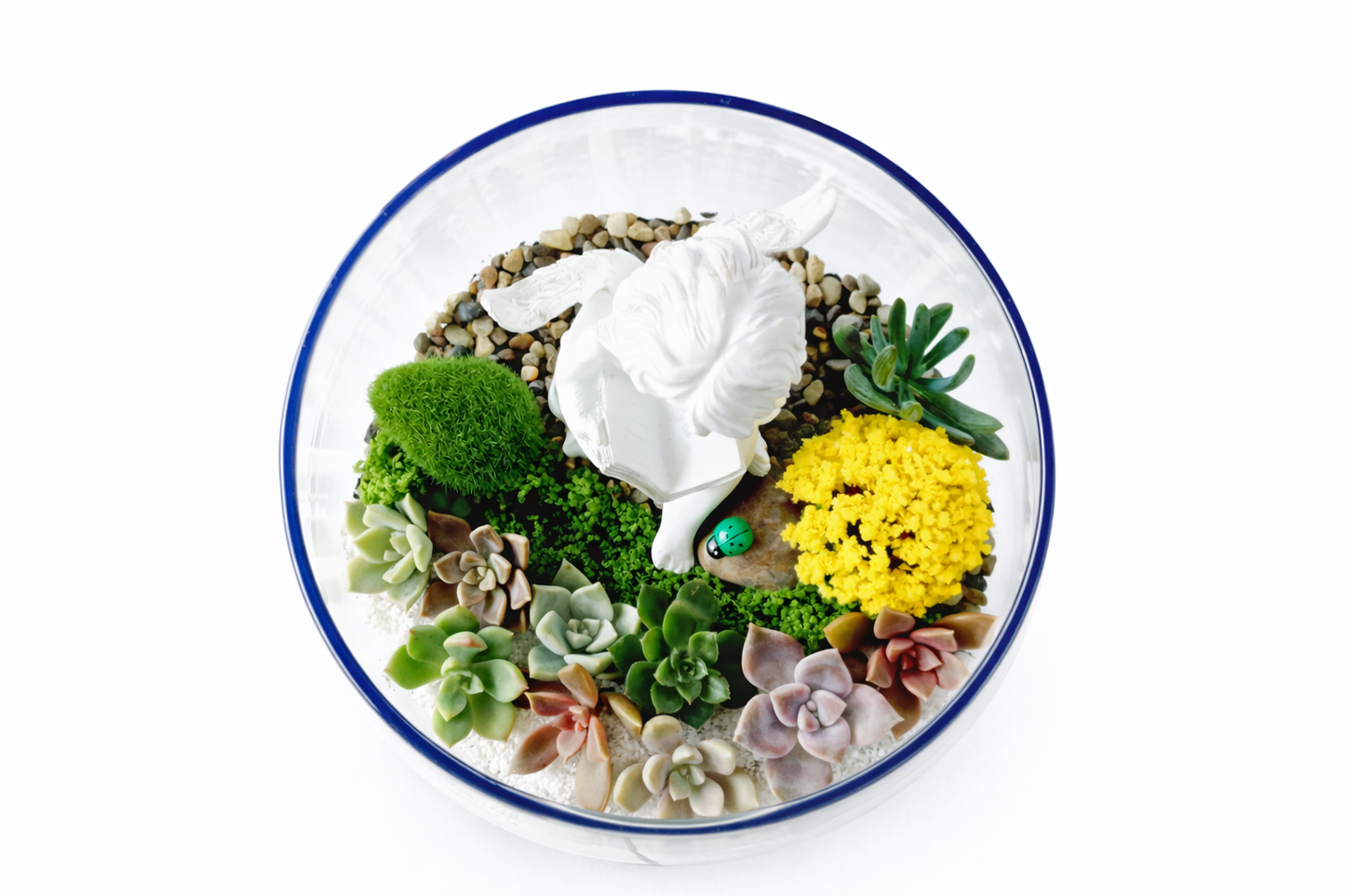 My Cherub Littile Garden – Succulent Terrarium DIY Kit