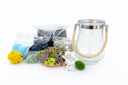 Cherub Succulent Hanging Terrarium DIY Kit