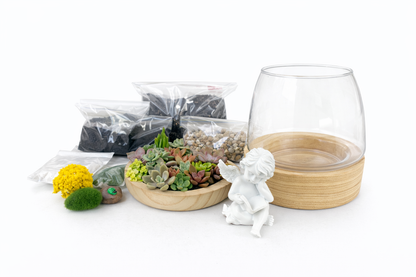 My Cherub Littile Garden – Succulent Terrarium DIY Kit