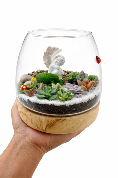 Cherub Succulent Terrarium DIY Kit