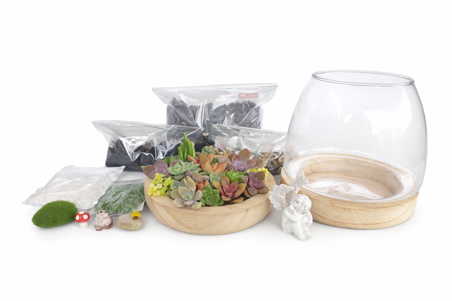 Cherub Succulent Terrarium DIY Kit