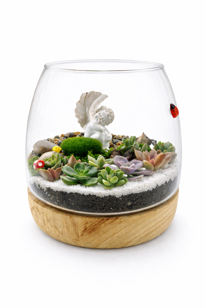 Cherub Succulent Terrarium DIY Kit