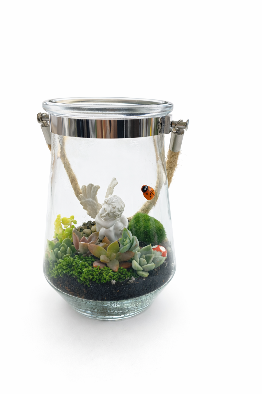 Cherub Succulent Hanging Terrarium DIY Kit