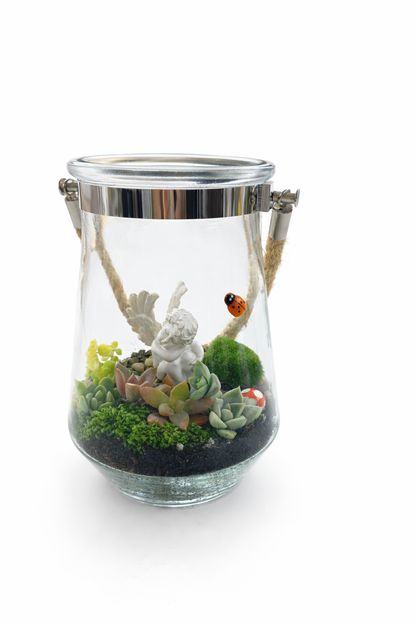 Cherub Succulent Hanging Terrarium DIY Kit