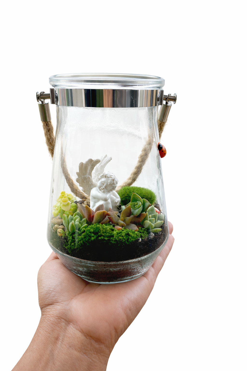 Cherub Succulent Hanging Terrarium DIY Kit