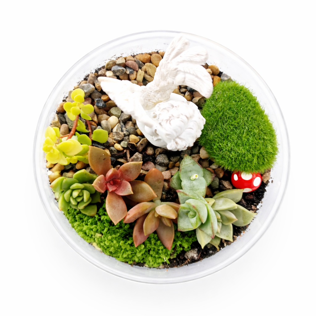 Cherub Succulent Hanging Terrarium DIY Kit