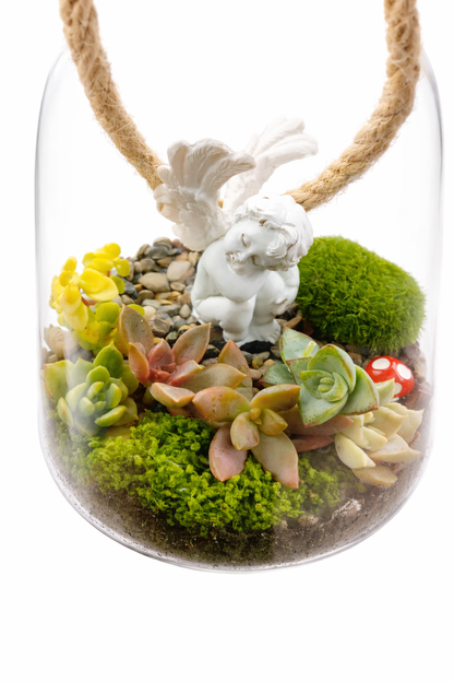 Cherub Succulent Hanging Terrarium DIY Kit