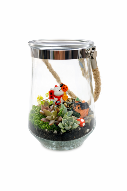 Lucky Chinese Cat Hanging Succulent Terrarium DIY Kit