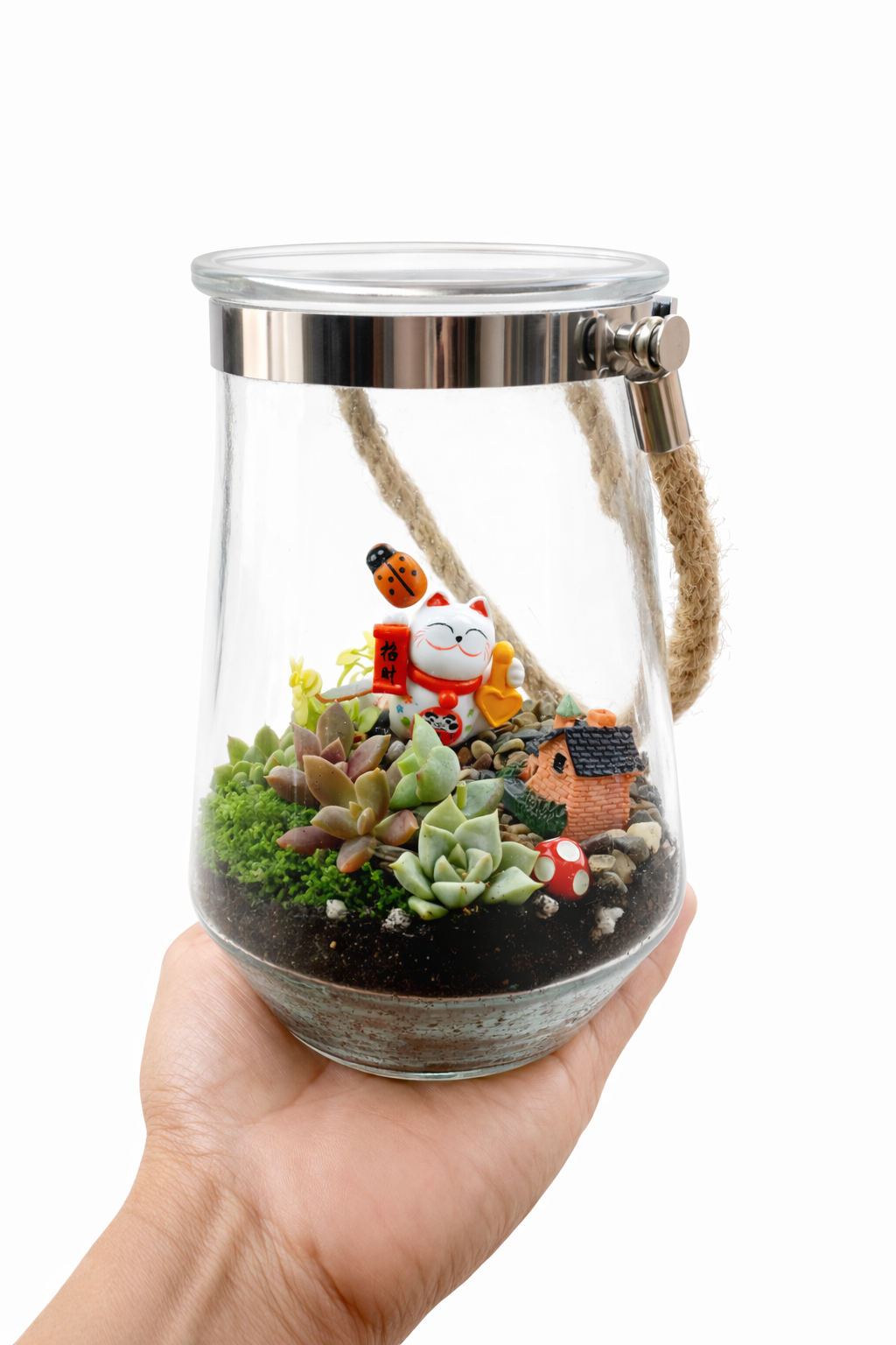 Lucky Chinese Cat Hanging Succulent Terrarium DIY Kit