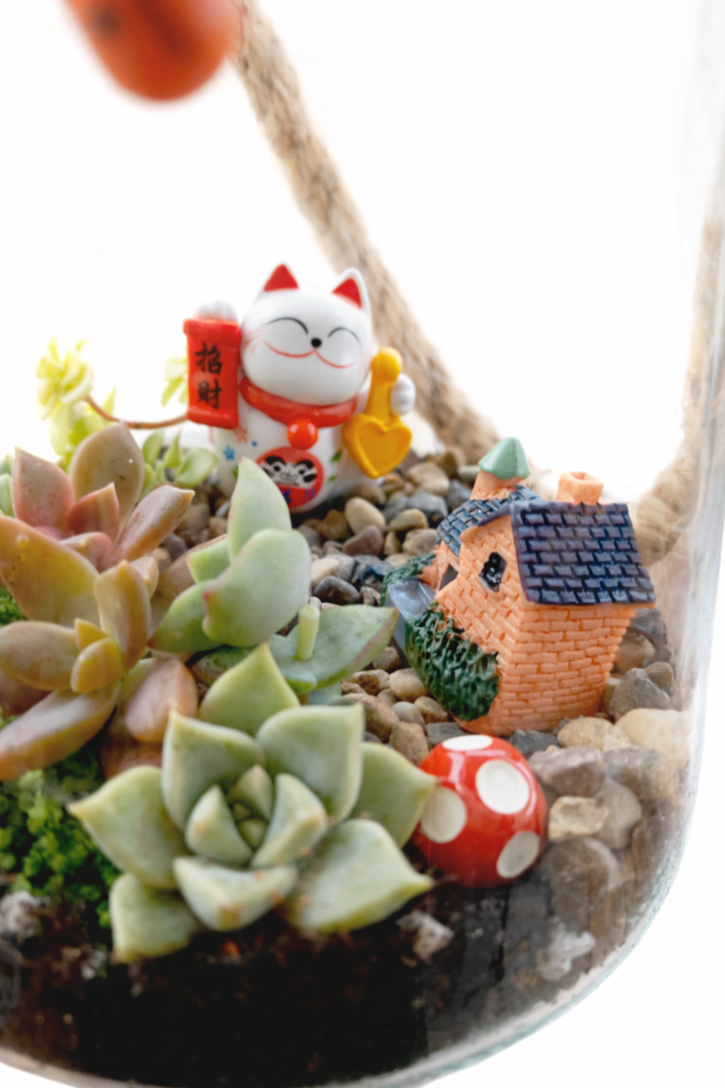 Lucky Chinese Cat Hanging Succulent Terrarium DIY Kit