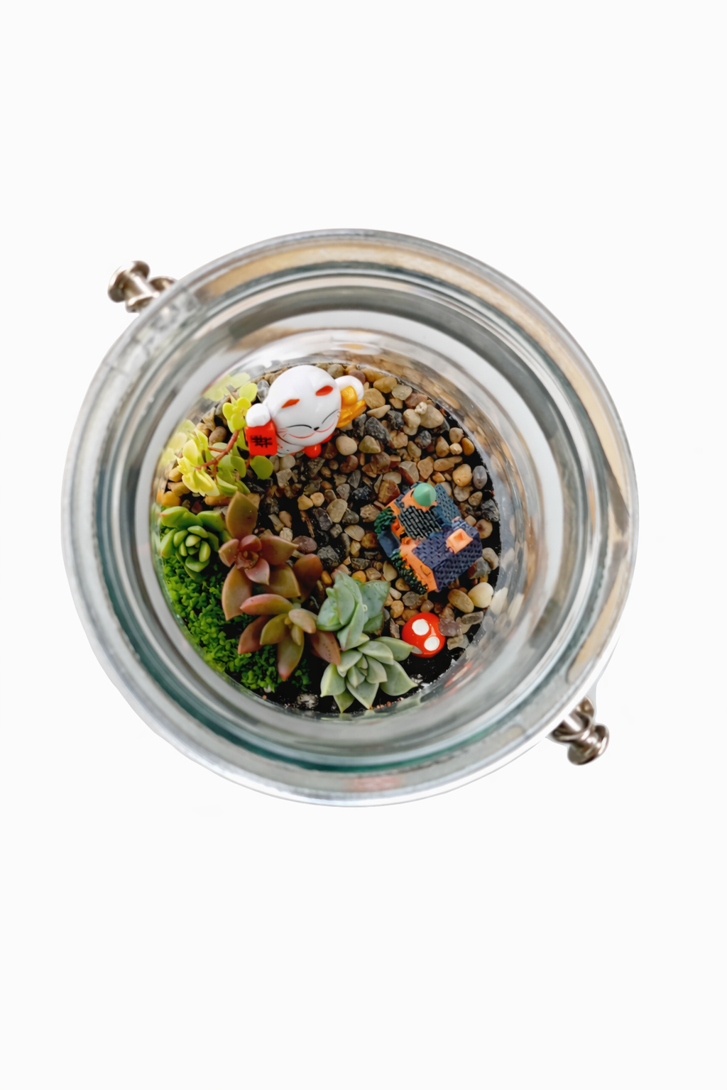 Lucky Chinese Cat Hanging Succulent Terrarium DIY Kit