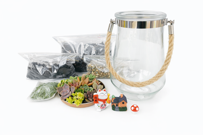 Lucky Chinese Cat Hanging Succulent Terrarium DIY Kit