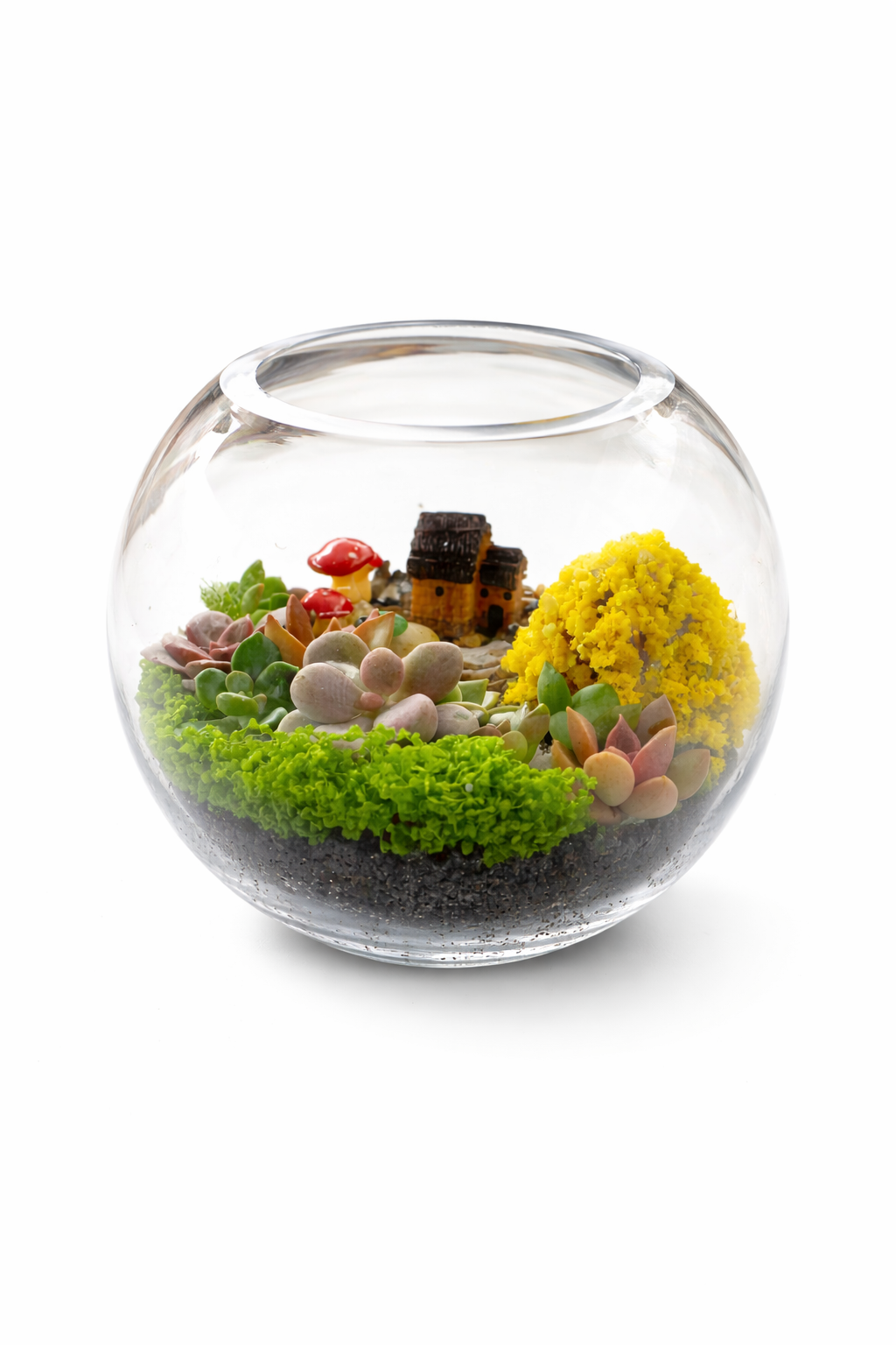 Mini House Garden Succulent Terrarium DIY Kit