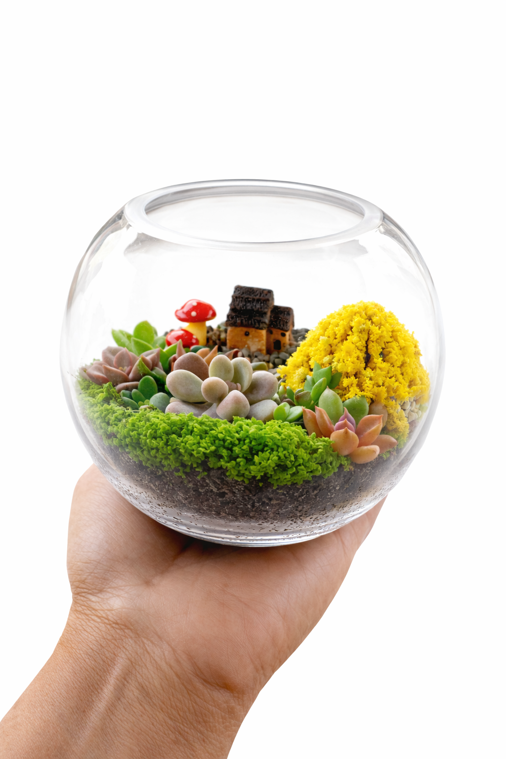 Mini House Garden Succulent Terrarium DIY Kit