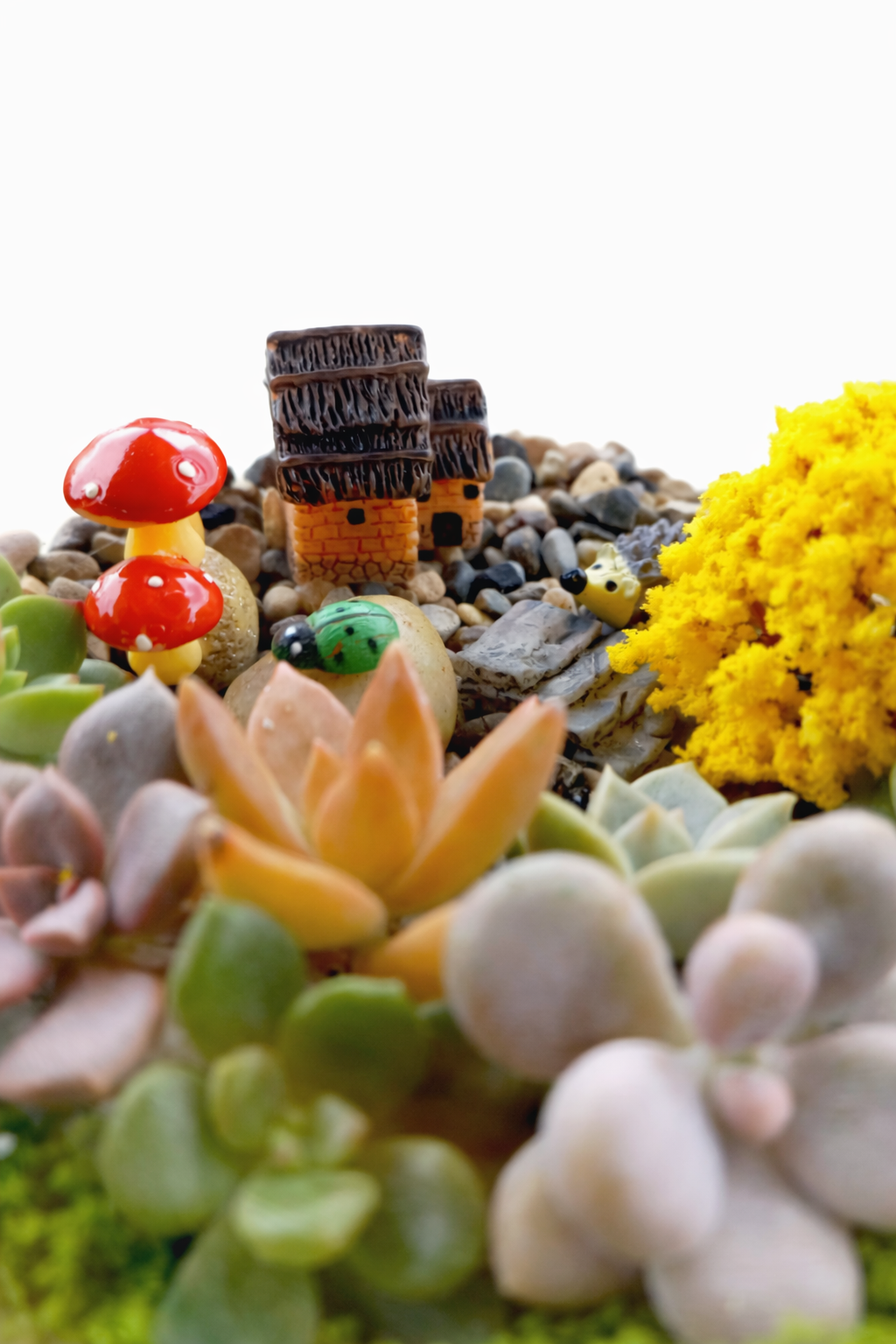 Mini House Garden Succulent Terrarium DIY Kit