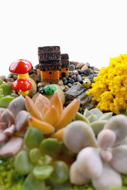 Mini House Garden Succulent Terrarium DIY Kit