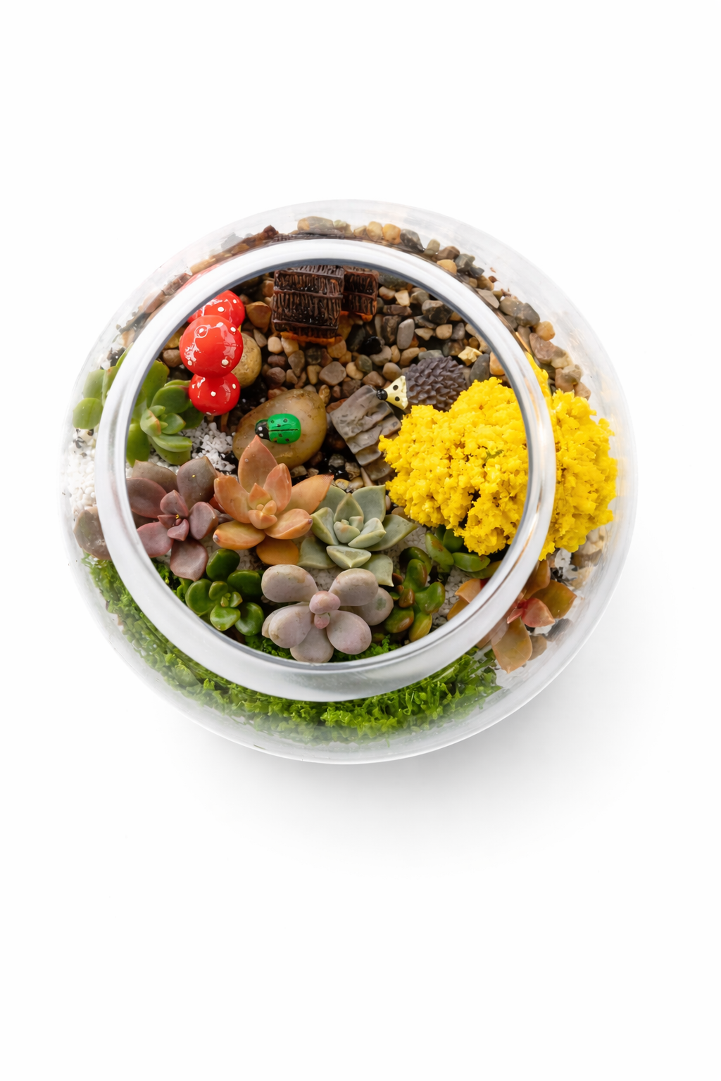 Mini House Garden Succulent Terrarium DIY Kit