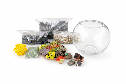 Mini House Garden Succulent Terrarium DIY Kit