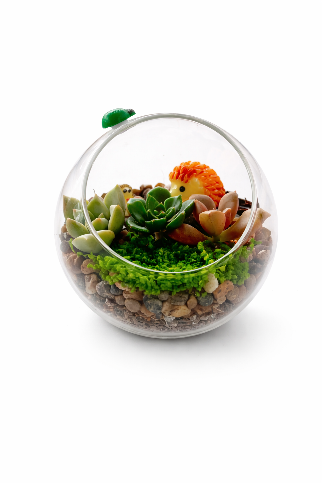 Kids Mini Succulent Garden DIY Kit
