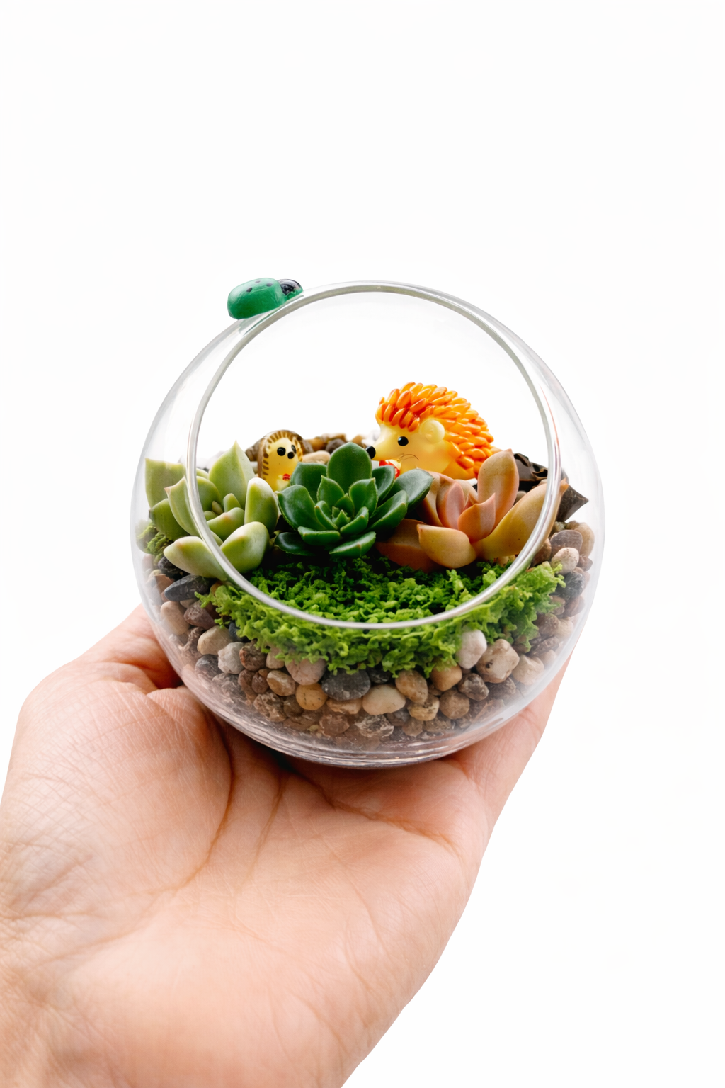 Kids Mini Succulent Garden DIY Kit