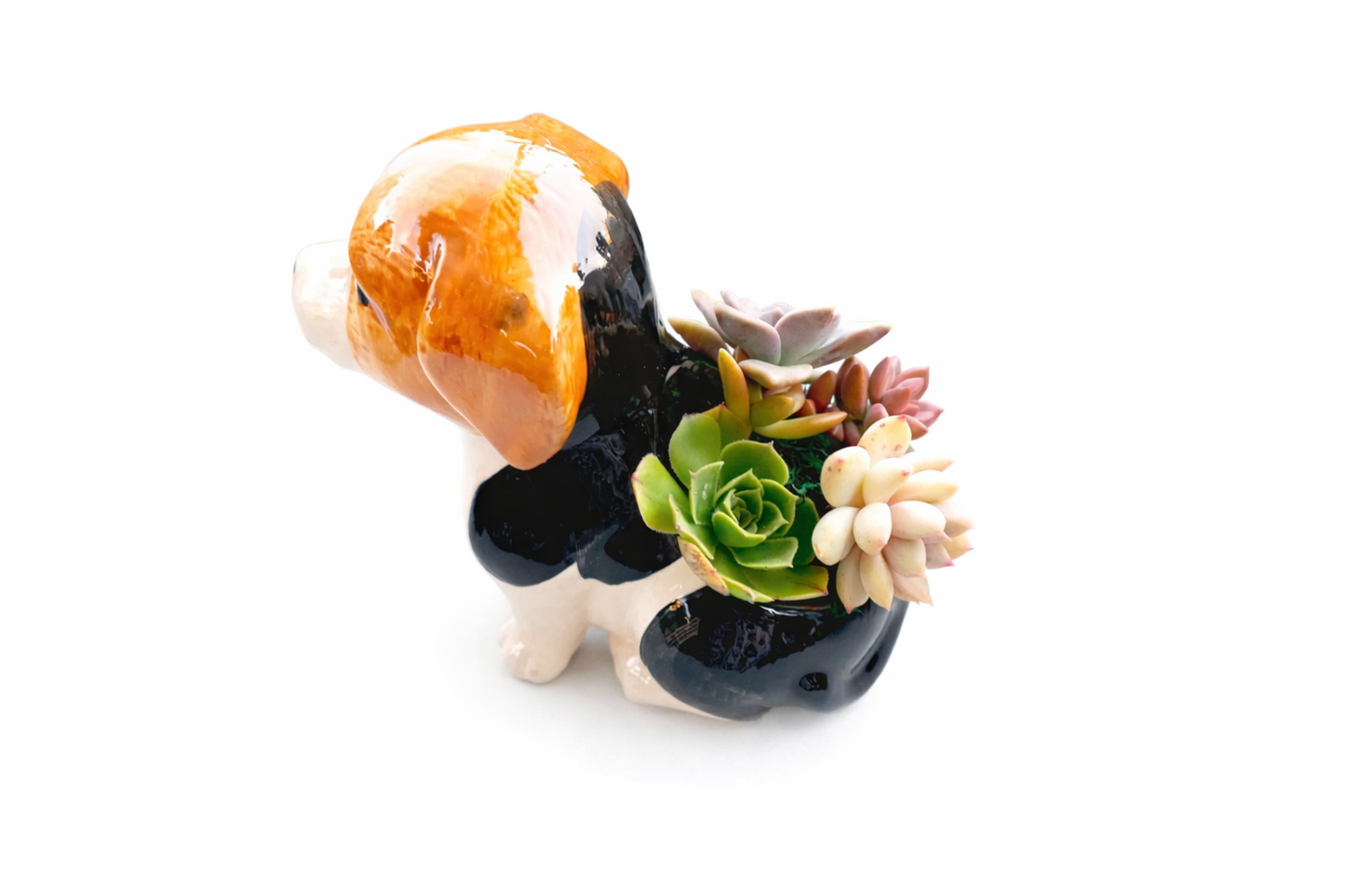 Beagle Dog Planter