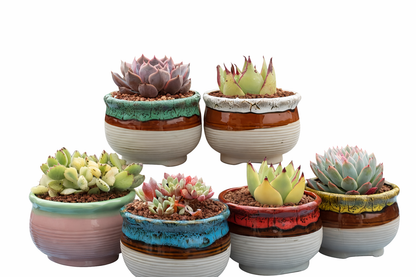 Mini Glazed Ceramic Pots – 8cm