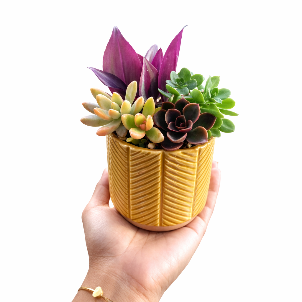 Luxury Succulent Pot