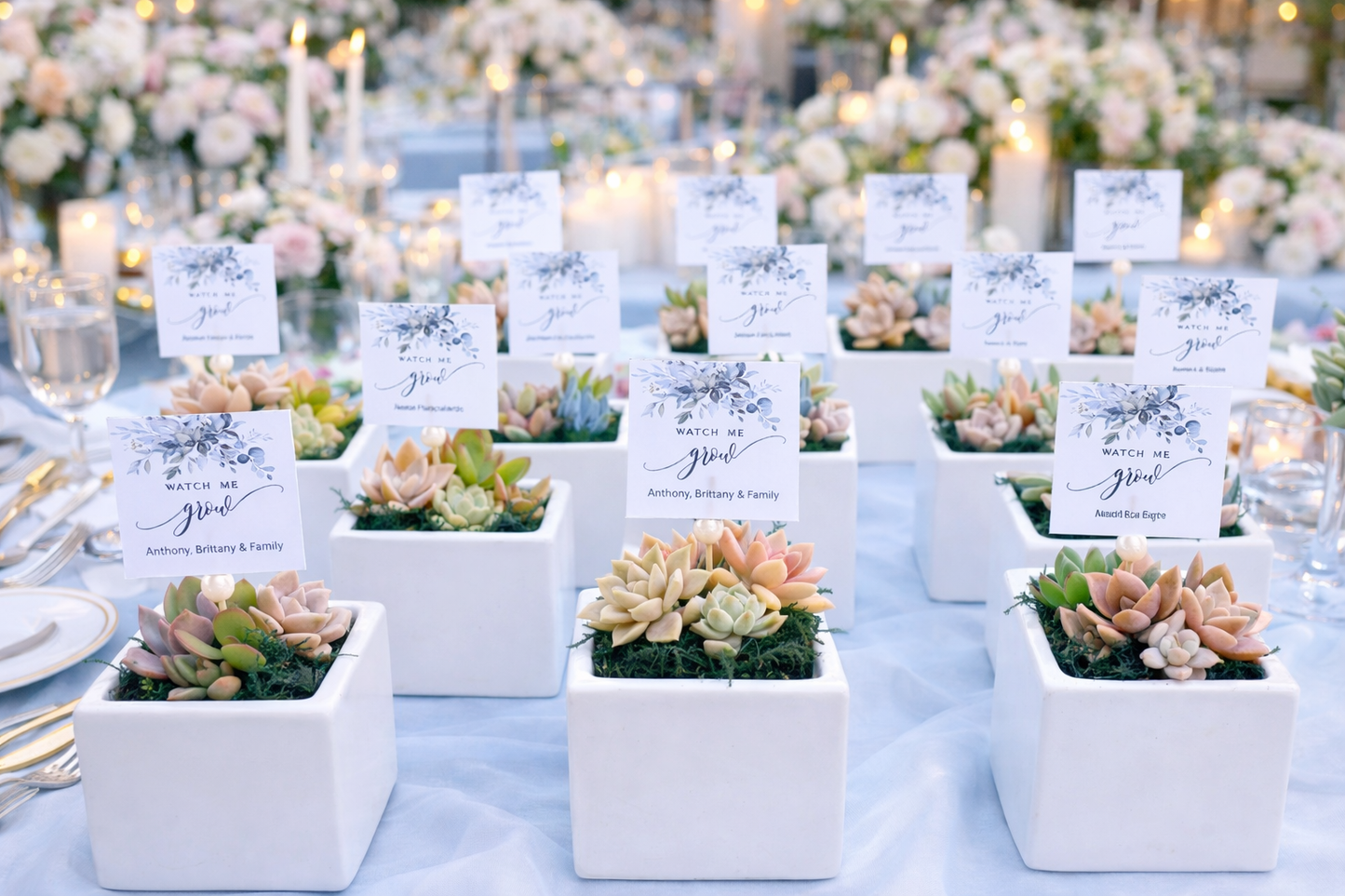 Modern cube Succulent Pots