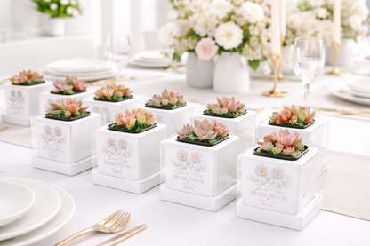 Modern cube Succulent Pots