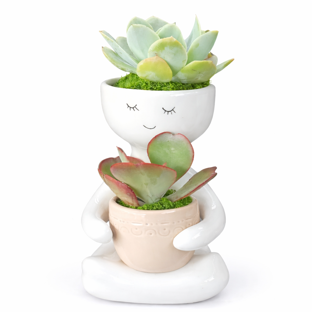 Person holding a Succulent Pot (20cm) - Beige