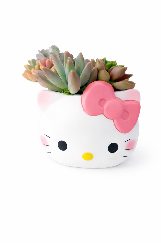 Cute Hello Kitty Succulent Pot