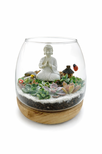 Buddha Zen Garden Terrarium – Succulent DIY Kit