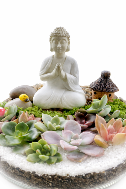 Buddha Zen Garden Terrarium – Succulent DIY Kit
