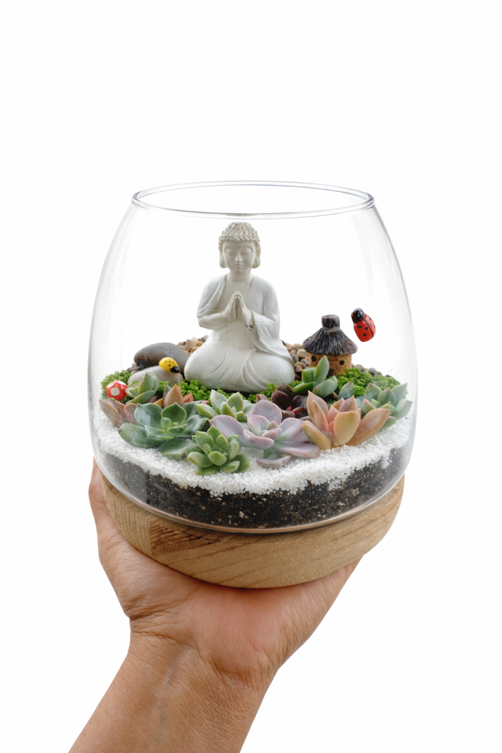 Buddha Zen Garden Terrarium – Succulent DIY Kit