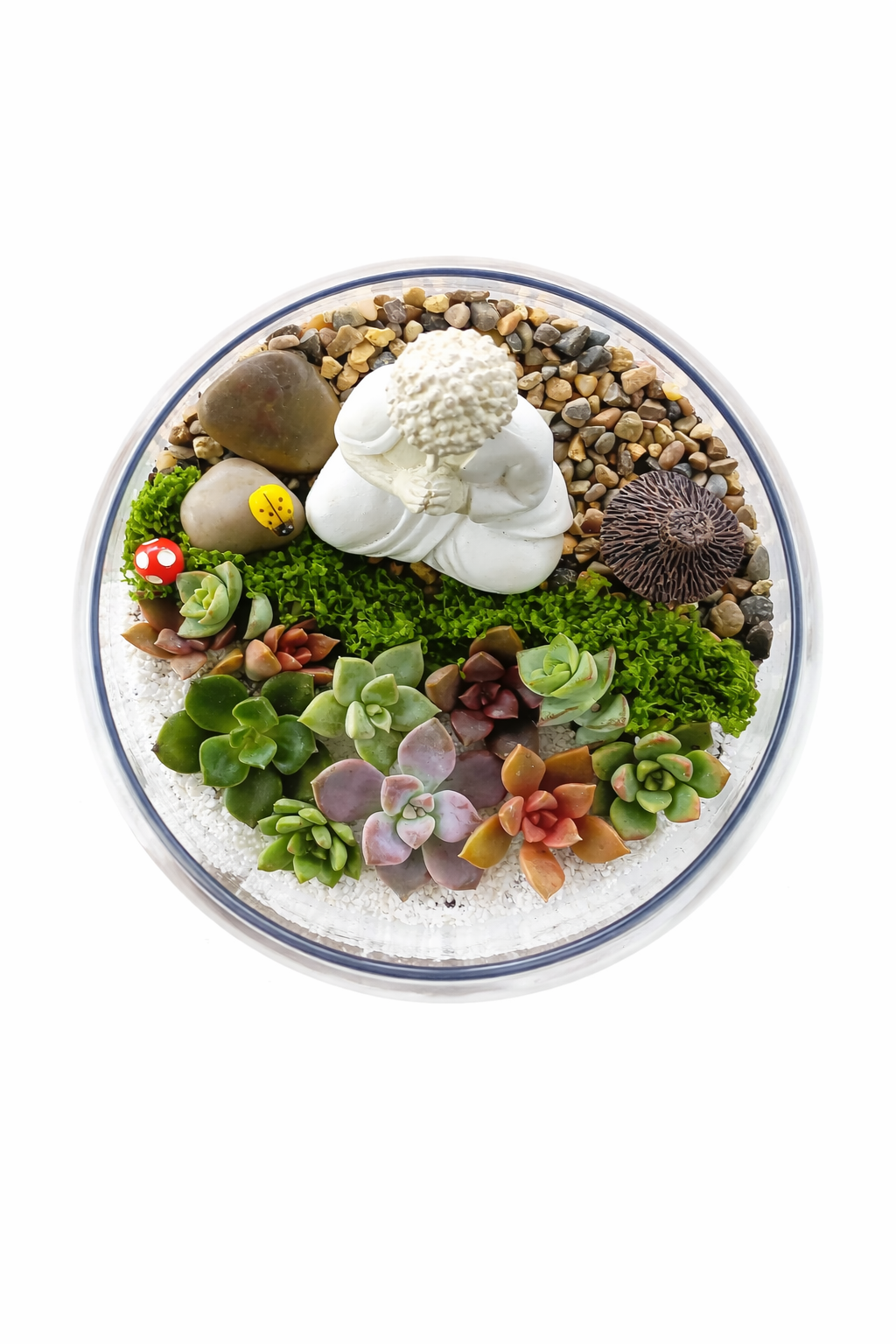 Buddha Zen Garden Terrarium – Succulent DIY Kit