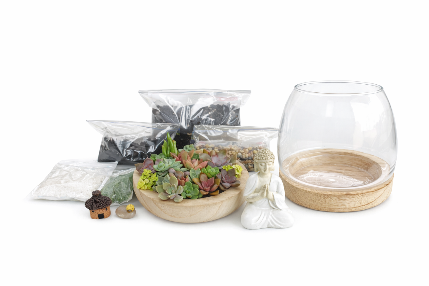 Buddha Zen Garden Terrarium – Succulent DIY Kit
