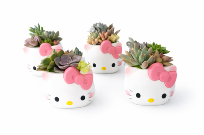 Cute Hello Kitty Succulent Pot