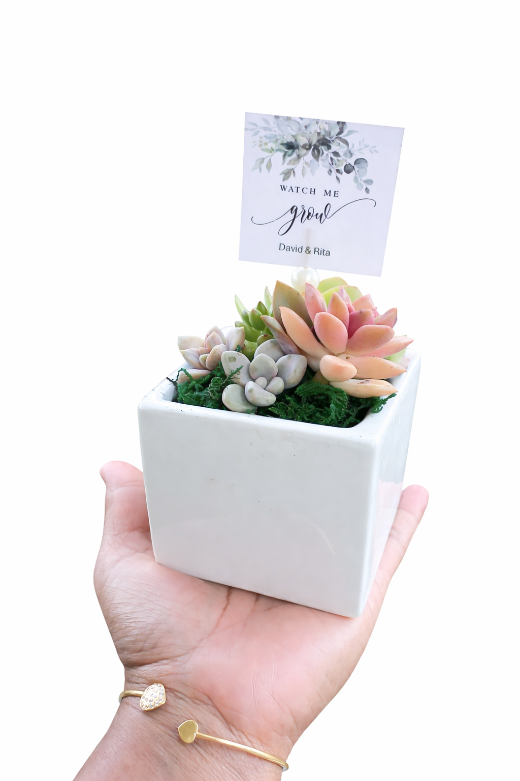 Modern cube Succulent Pots