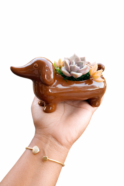 Mini Brown Dachshund Dog Succulent pot - For Pet lovers❤️